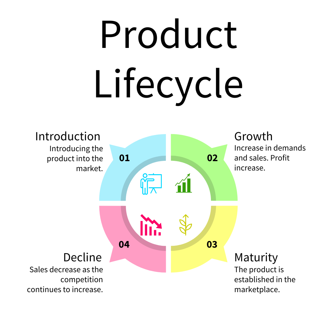 Asset consisting of the 4 stages which are Introduction, Growth, Maturity and Decline each with a small description of what each are in in this context